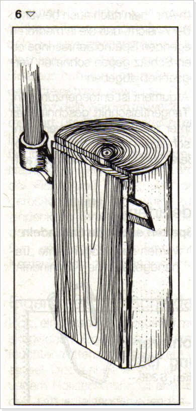 Beispiel für tangentiale Spaltung (Fladerwuchs)